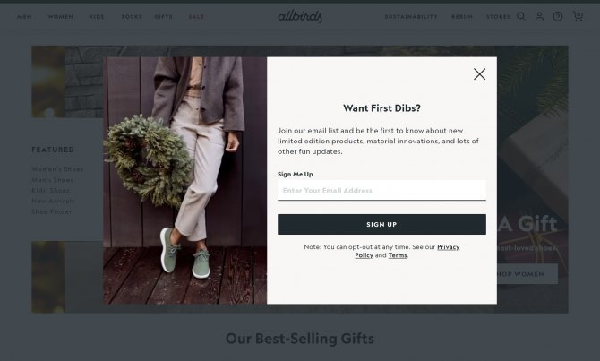 Allbirds