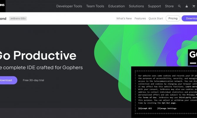 JetBrains GoLand